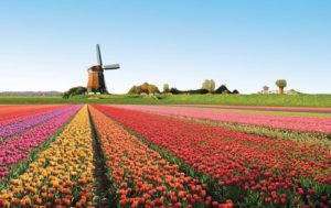 Tulipány v Nizozemsku Zajímavá místa