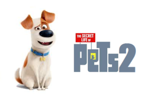 The Secret Life Of Pets Movies 2019