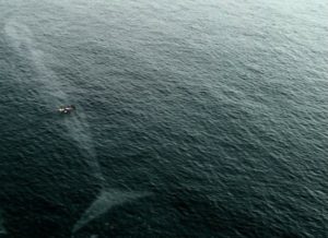 9) Velikost velrybího nebezpečí v oceánu