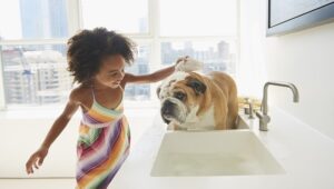 vad du bör veta om att bada din hund Hur du badar din hund
