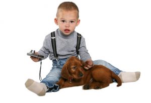 4.Irländsk setterhund till barn