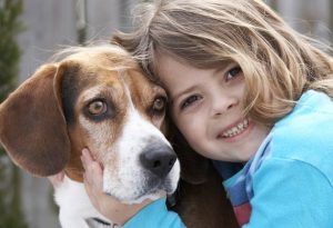Beagle - pies dla dzieci