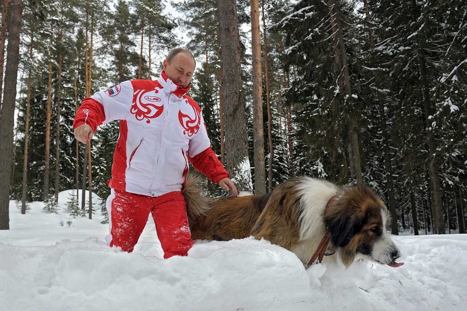 Vladimir Putin neznáme miesto moskovský región pes Buffy bulharský pastiersky pes Karakaèanka
