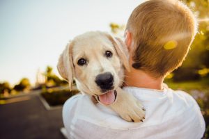 Cáncer Enfermedades que pueden oler los perros - 6 enfermedades . ¿Qué enfermedades puede olfatear un perro? Enfermedades que los perros pueden olfatear 6 enfermedades que los perros pueden sentir y detectar.