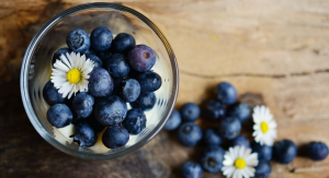 Hälsosam frukt näring Varför odla frukt
