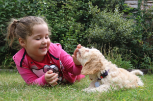 Psy pomagają w rozwoju mowy - Pies dla dziecka