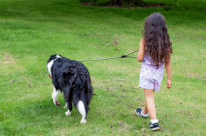 Psy zapewniają dzieciom aktywność - Pies dla dziecka