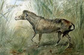 Prehistoryczne konie