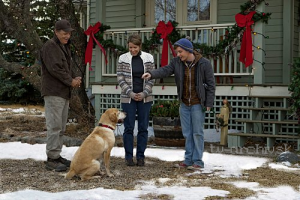 2. Nejlepší vánoční dárek Top 10 vánočních filmů o psech