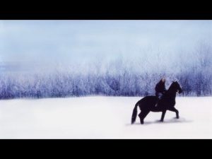 Vianočné žriebä Vianočné filmy o koňoch
