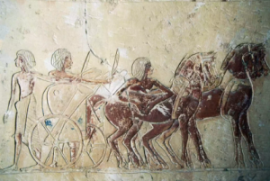 Konie zostały udomowione przez ludzi ponad 3 000 lat temu