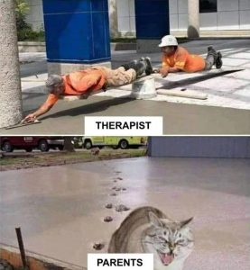 kot w betonie