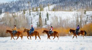 jazdenie v zime jazda na koni v zime