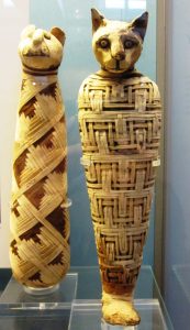 mumia Egyptian Mau najstaršie plemená mačiek