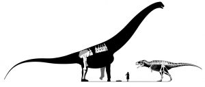 Argentinosaurus Najväčší dinosaury na svete : 15 najväčších dinosaurov