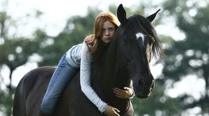 Vichr Filmy o koňoch : Top 10