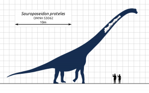 Sauroposeidon proteles Najväčší dinosaury na svete : 15 najväčších dinosaurov