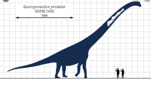 Sauroposeidon Najväčší dinosaury na svete : 15 najväčších dinosaurov