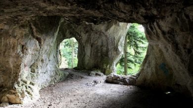 Netopieria jaskyna