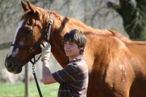 Vítězný hřebec Filmy o koňoch : Top 10