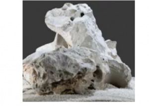 Texas Holey Rock - idealny dla pielęgnic afrykańskich Kamienie do akwarium