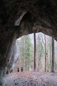 Dekretal grotta