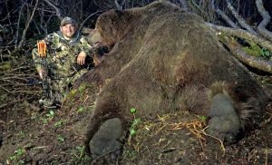 Niedźwiedź brunatny w pierwszej dziesiątce największych upolowanych zwierząt 