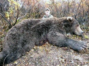 największy upolowany niedźwiedź