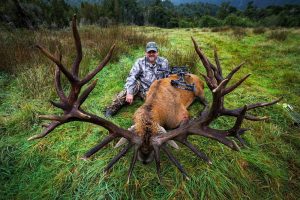 novy zeland jelen Najväčšie Jelene na svete