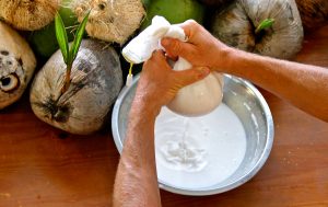 kokosové mléko recept Jak vyrobit kokosové mléko