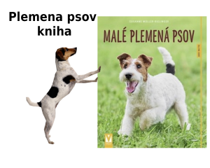 libro razas pequeñas de perros