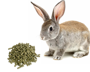 Granulki dla królików