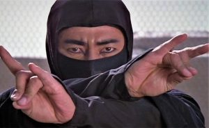 Ninjova pomsta ninja filmy