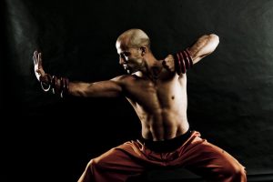 Kung - fu Martial Arts