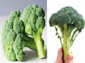   Brokolice Co obsahuje vlákninu