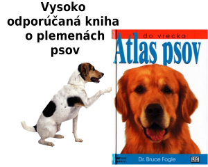 libro de razas de perros