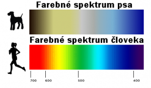 barevné spektrum psa Jak psi vidí