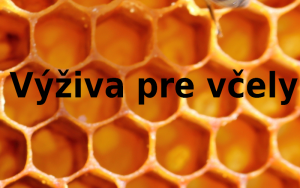 Odżywianie pszczół i co jedzą pszczoły - miód, pyłek, nektar