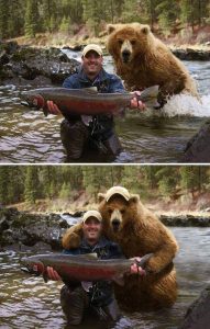 zabavne obrazky medved