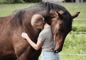 kôň vyznáva lásku Obtiera sa o vás