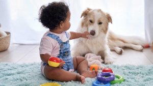 Naucz dziecko i psa współdziałania ze sobą