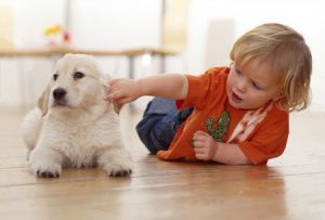 Wyznacz granice - Jak przygotować psa na przyjęcie dziecka