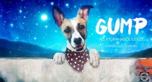 Gump - pes, který naučil lidi žít svobodně film
