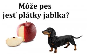 Môže pes jesť plátky jablka