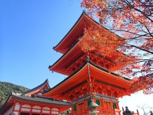 W Kioto w Japonii znajduje się ponad 1 600 świątyń.