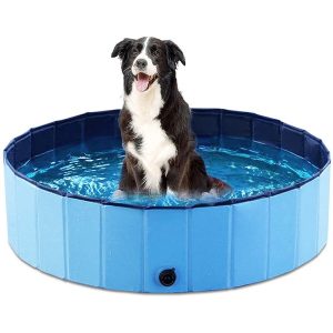 Bazény pre psíkov