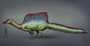 Características del Spinosaurus Spinosaurus