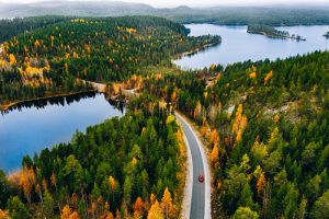 Väčšinu Švédska pokrývajú lesy