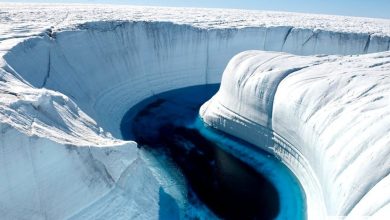 Zaujímavosti o Antarktíde 10 zaujímavých faktov o Antarktíde
