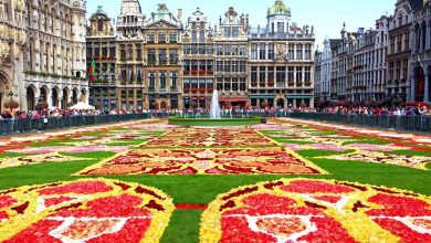 Zaujímavosti o Begicku 31 faktov, ktoré ste nevedeli o Belgicku